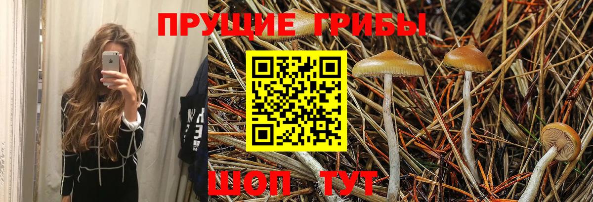 Псилоцибиновые грибы Magic Shrooms Снежинск