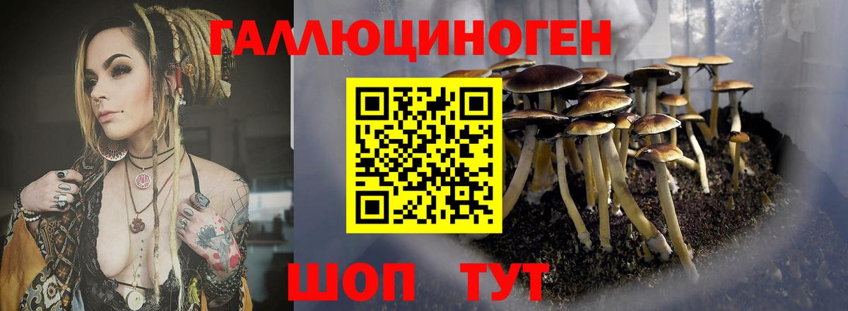 Галлюциногенные грибы MAGIC MUSHROOMS  Вход с VPN  Снежинск 
